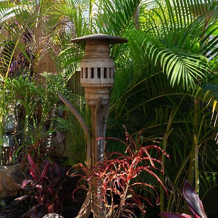 Lotus Suite, 1 Bedroom, Sleeps 4, Pool & Bbq, Pre-Renovation Summer Sale Kihei Extérieur photo