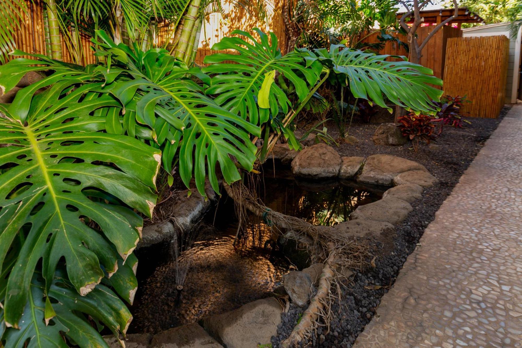 Lotus Suite, 1 Bedroom, Sleeps 4, Pool & Bbq, Pre-Renovation Summer Sale Kihei Extérieur photo